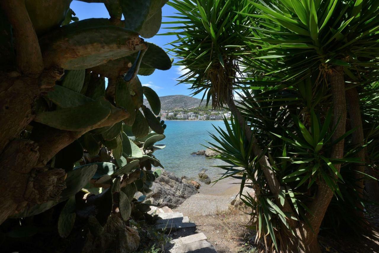 Villa PortoMare Pórto Ráfti Esterno foto